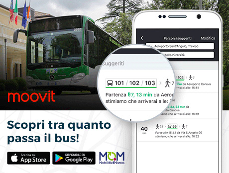 immagine per moovit